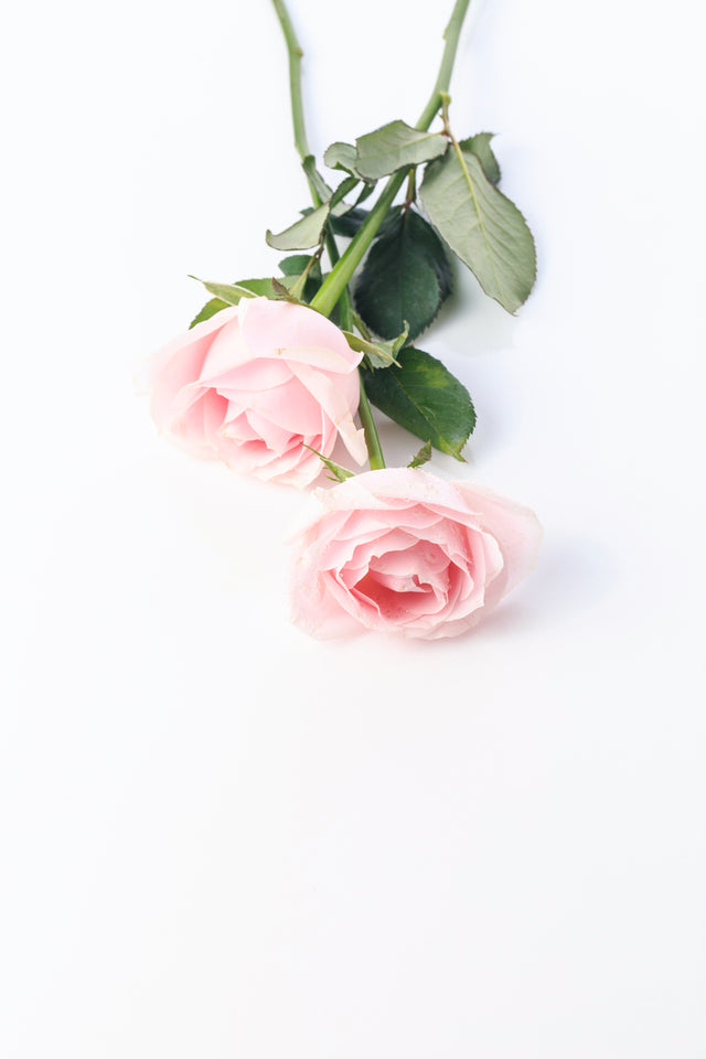 母の日Giftのおすすめアイテム