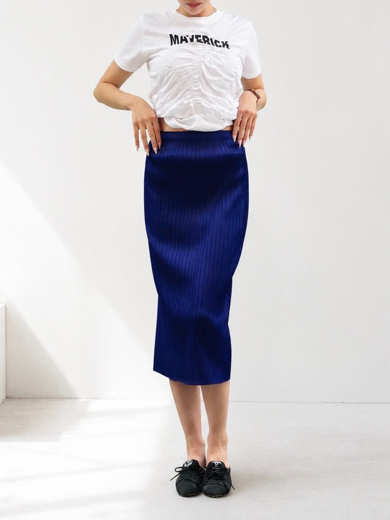Pleated Skirt